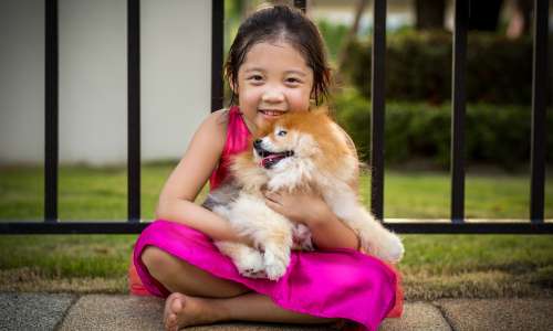 how long do pomeranians live