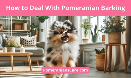 Do Pomeranians Bark a Lot