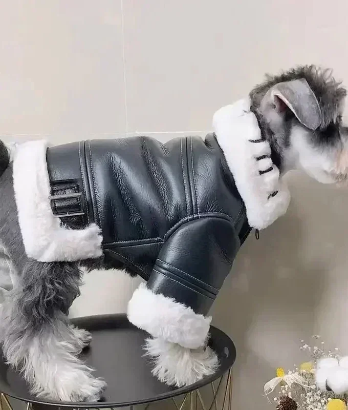 Bike Jacket