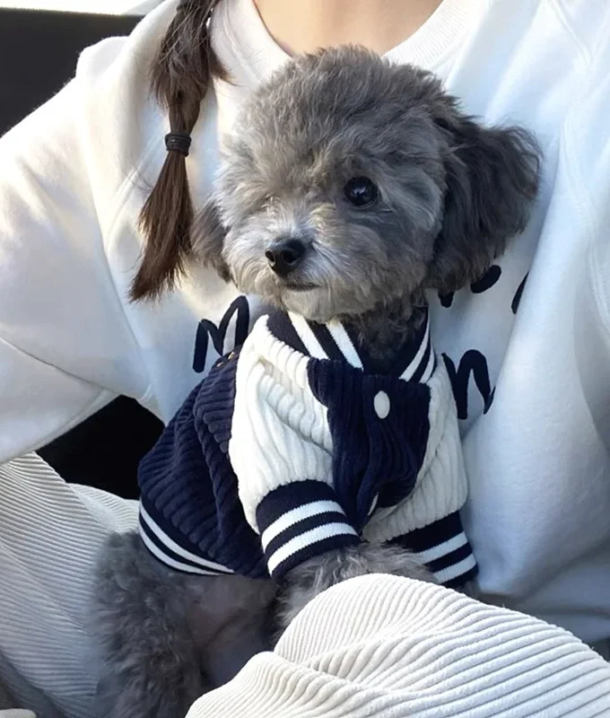 Striped Sweatshirt