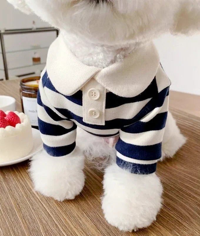Striped Polo Shirt
